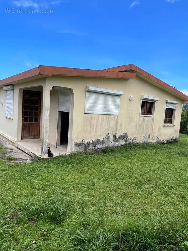 Maison à BASSE-POINTE