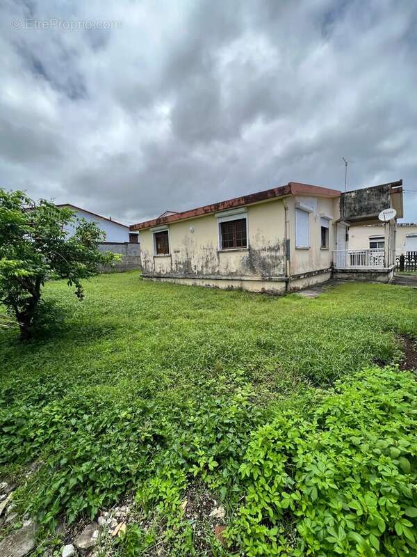 Maison à BASSE-POINTE