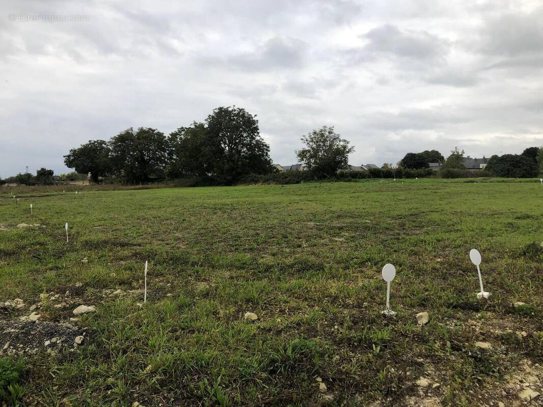 Terrain à BEAUMONT-EN-VERON