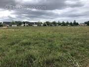 Terrain à BOURGUEIL