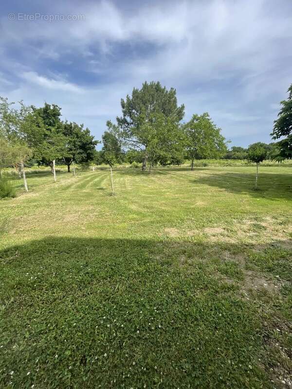 Maison à SAINT-NEXANS