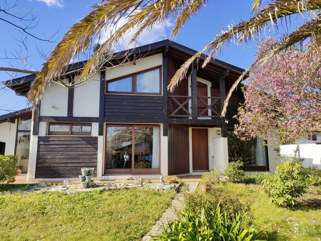 Maison à SAINT-VINCENT-DE-TYROSSE