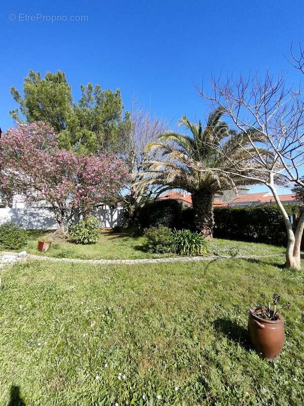 Maison à SAINT-VINCENT-DE-TYROSSE