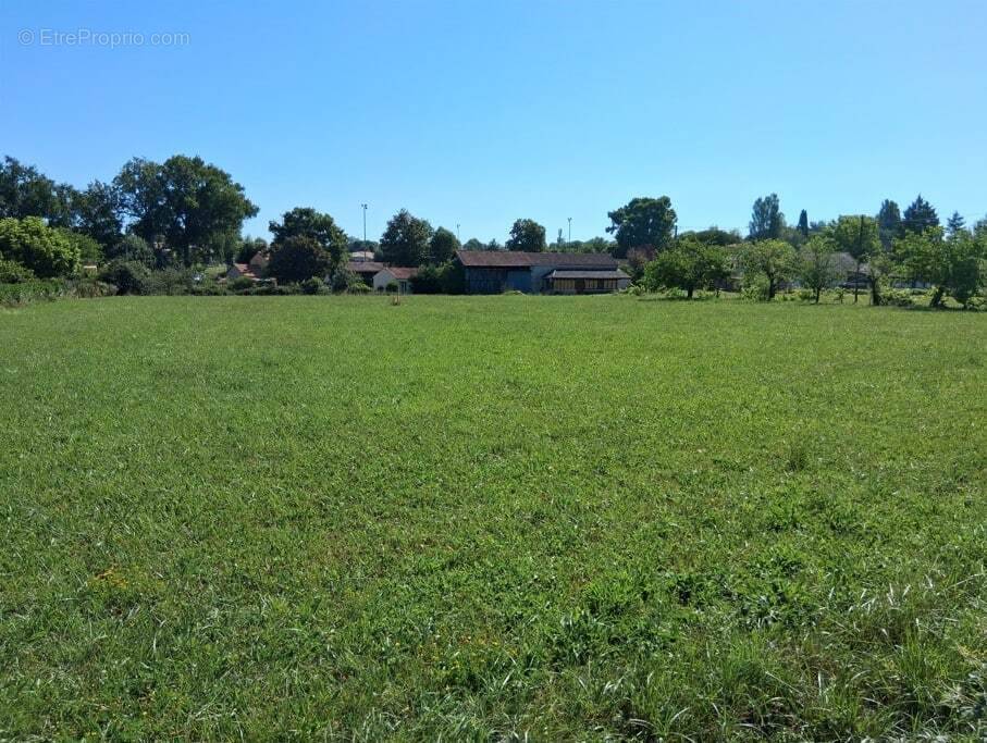 Terrain à VILLEREAL