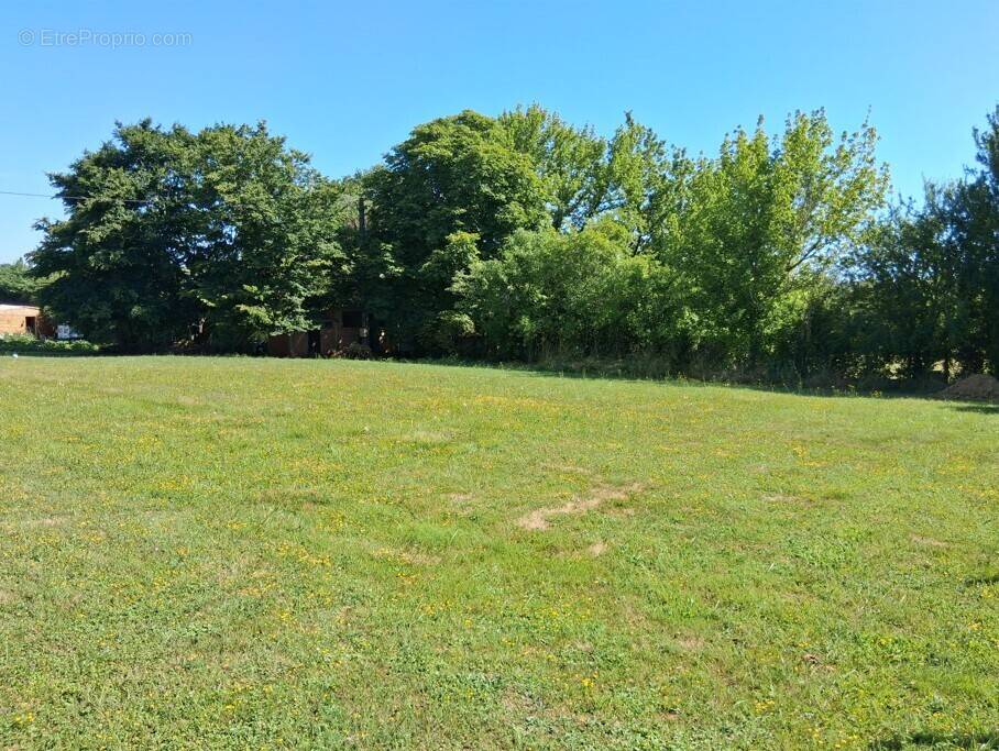 Terrain à VILLEREAL