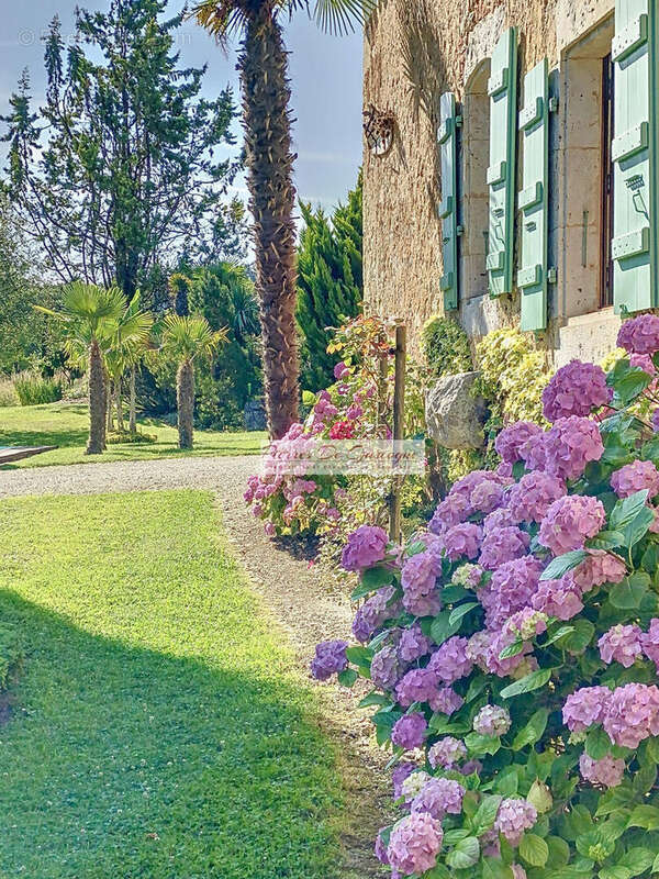 guillondeau00042 - Maison à CASTERA-VERDUZAN