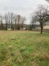 Terrain à COURCAY