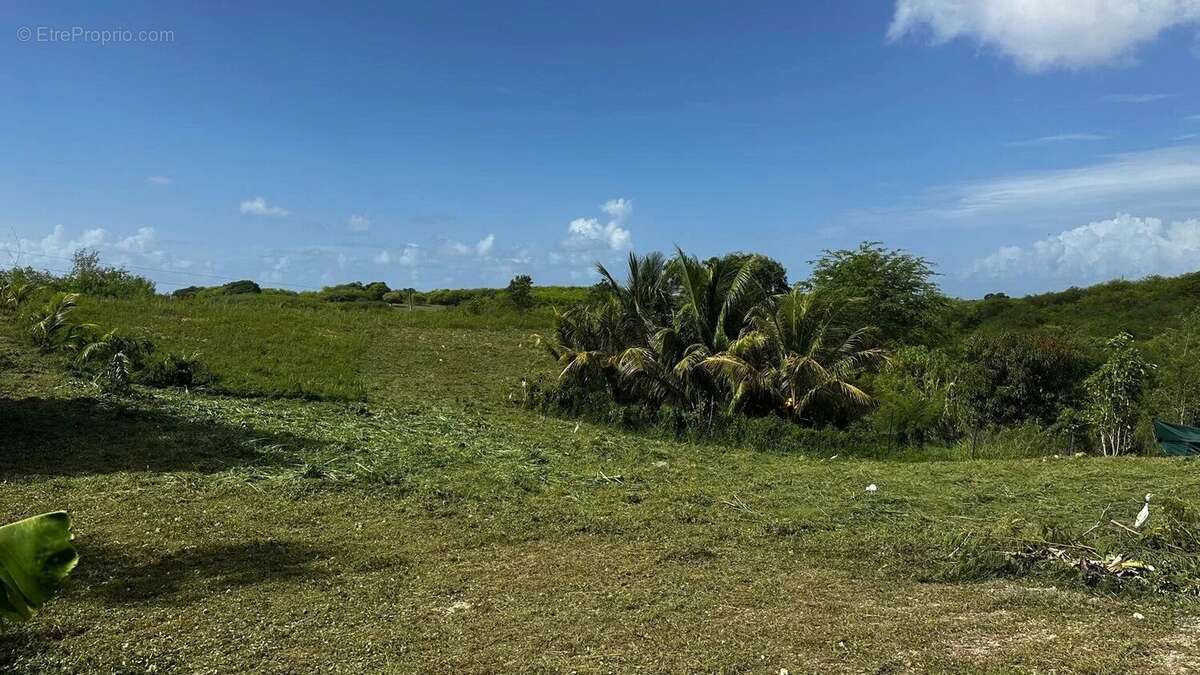Terrain à SAINTE-ANNE