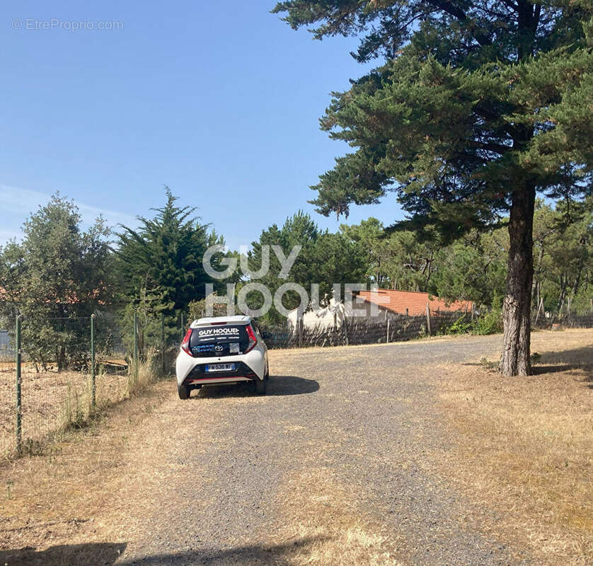 Terrain à SAINT-HILAIRE-DE-RIEZ