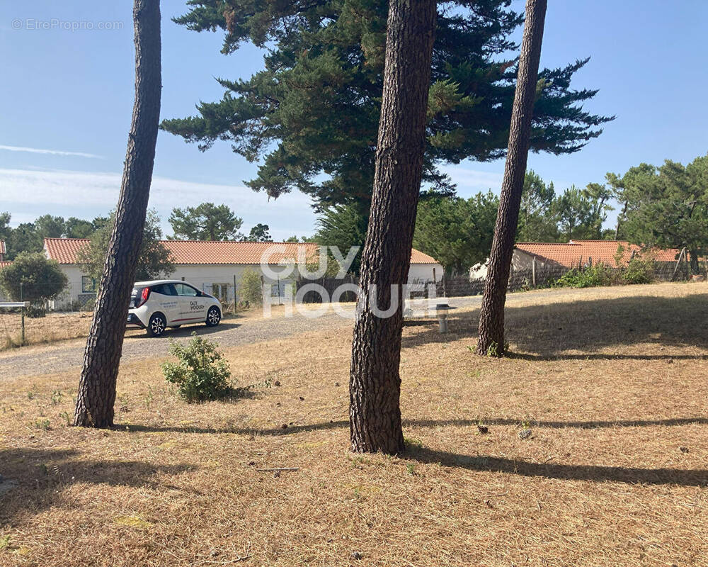 Terrain à SAINT-HILAIRE-DE-RIEZ