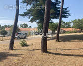 Terrain à SAINT-HILAIRE-DE-RIEZ