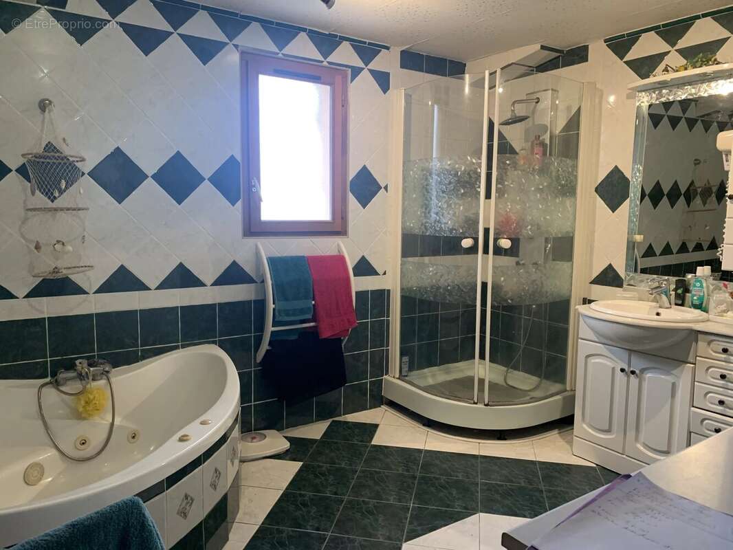 Maison à TRIE-SUR-BAISE