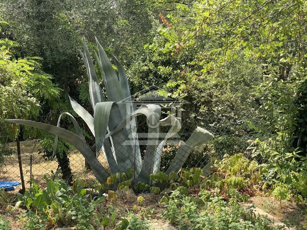 Maison à SAINT-PAUL-EN-FORET