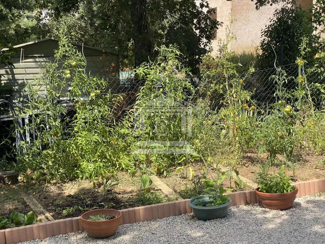 Maison à SAINT-PAUL-EN-FORET