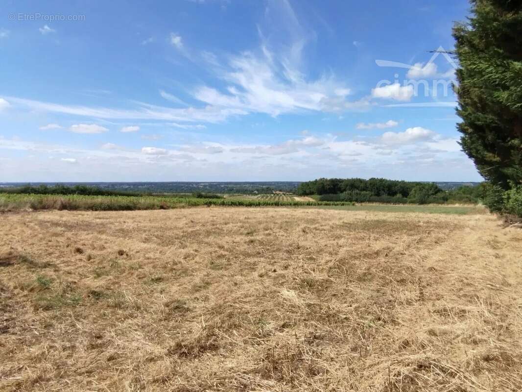 Maison à ROCHEFORT-SUR-LOIRE
