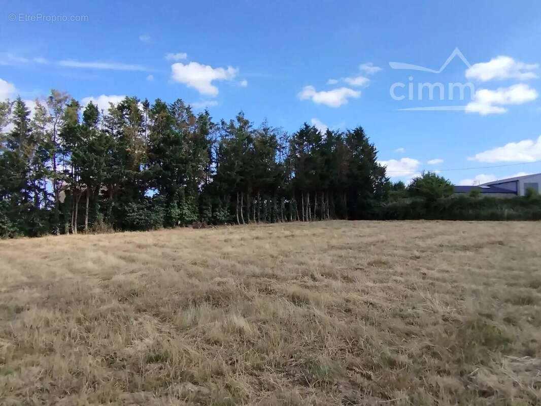 Maison à ROCHEFORT-SUR-LOIRE