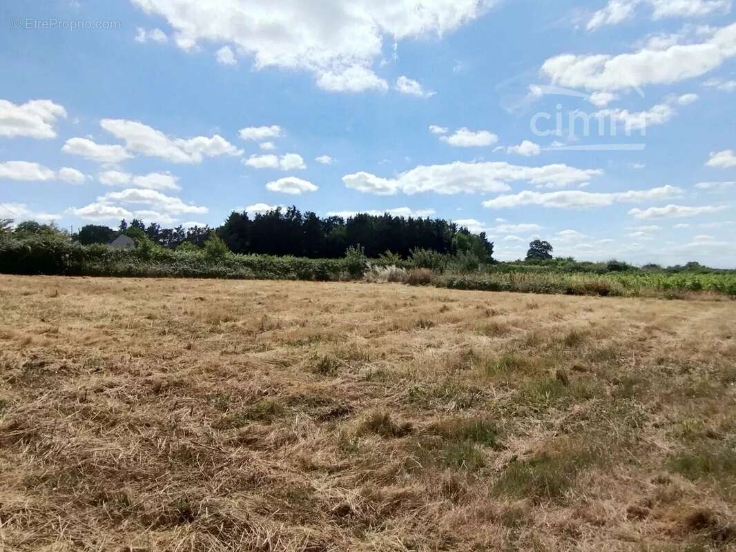 Maison à ROCHEFORT-SUR-LOIRE
