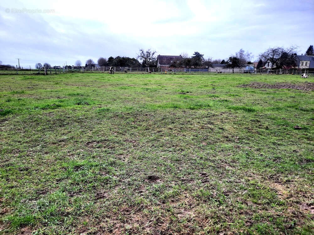 Terrain à MANDEVILLE