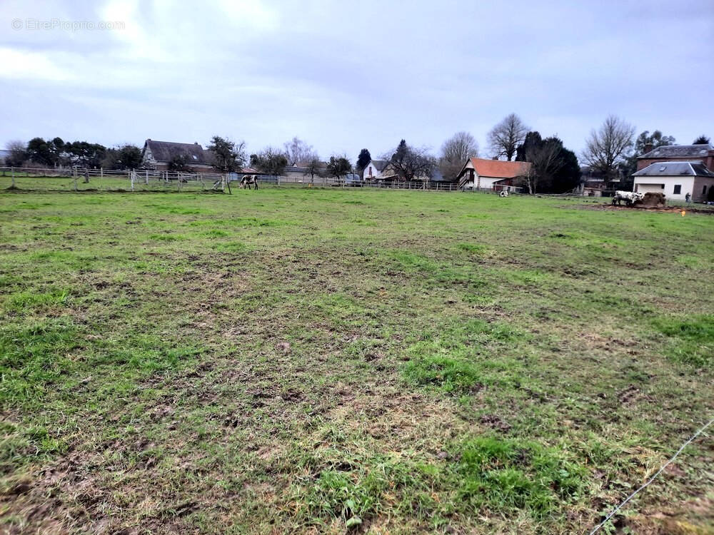 Terrain à MANDEVILLE