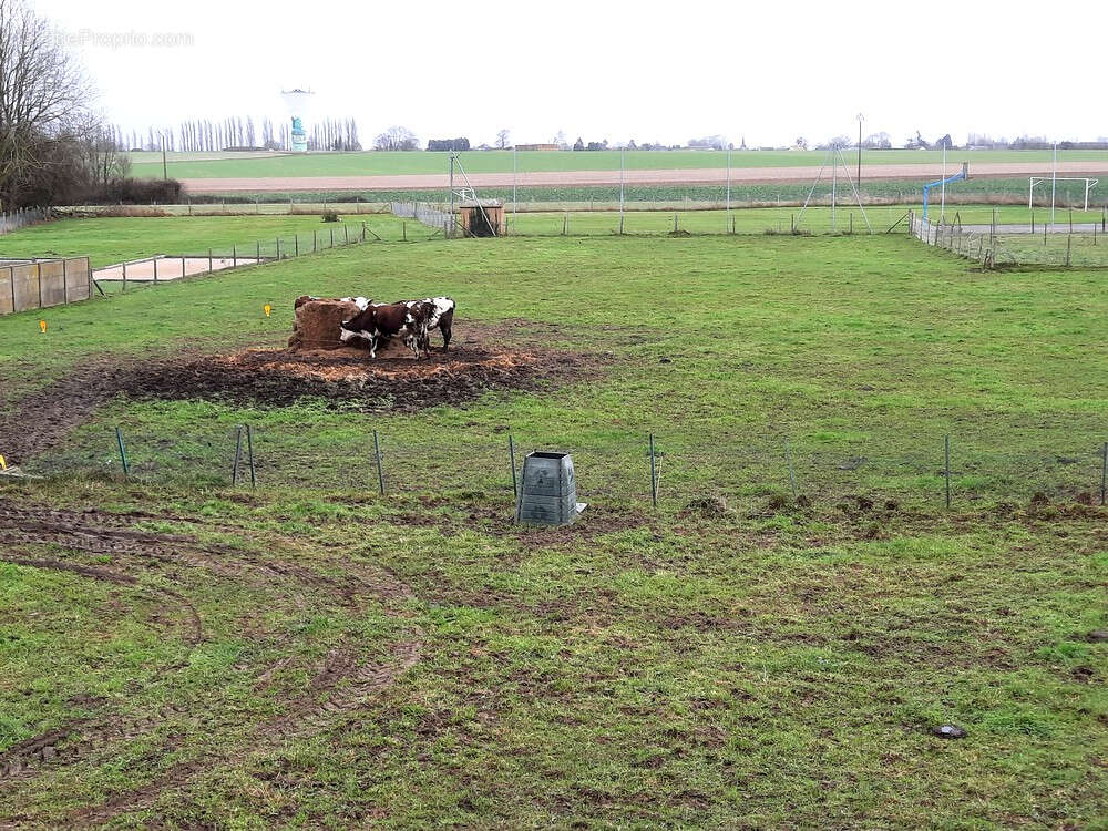 Terrain à MANDEVILLE