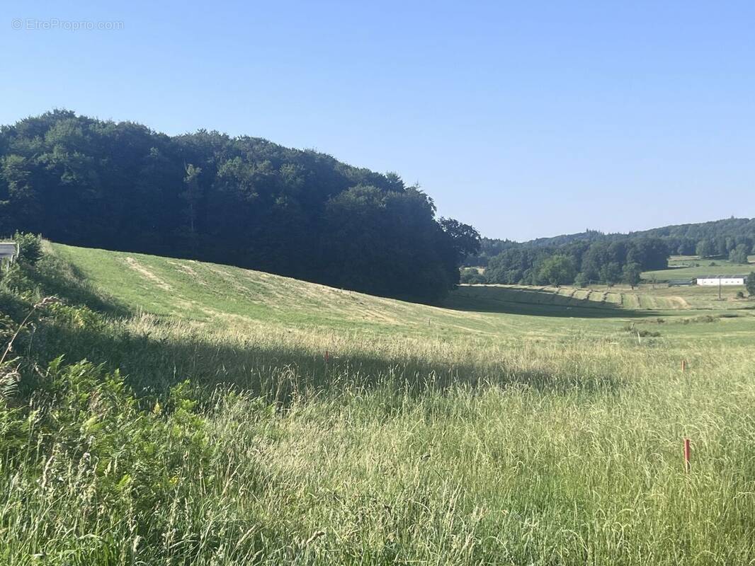 Terrain à LAFEUILLADE-EN-VEZIE