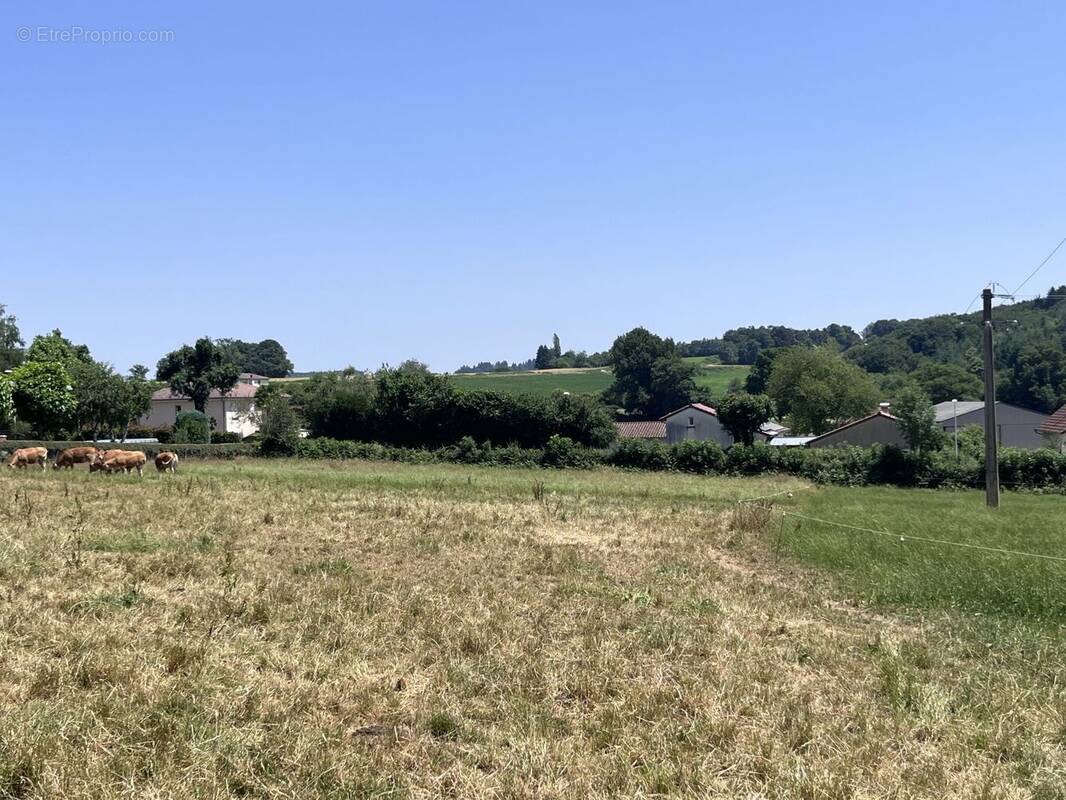 Terrain à ARPAJON-SUR-CERE