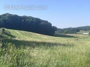 Terrain à LAFEUILLADE-EN-VEZIE