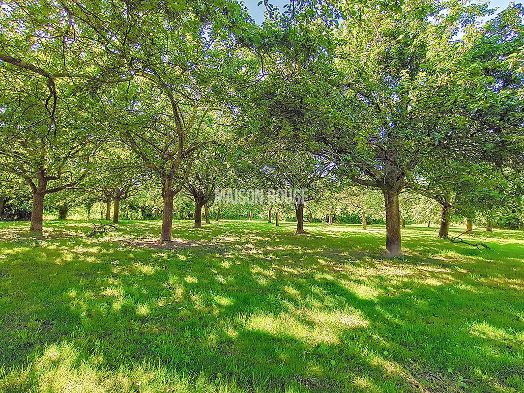 Maison à DOL-DE-BRETAGNE