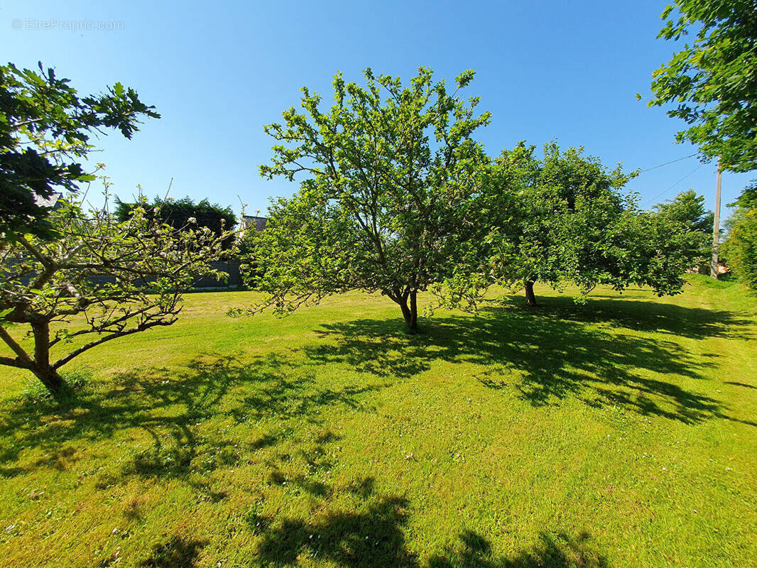 Terrain à FOUESNANT