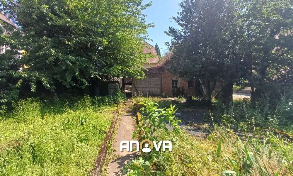 Vue sur jardin - Maison à SAVERNE