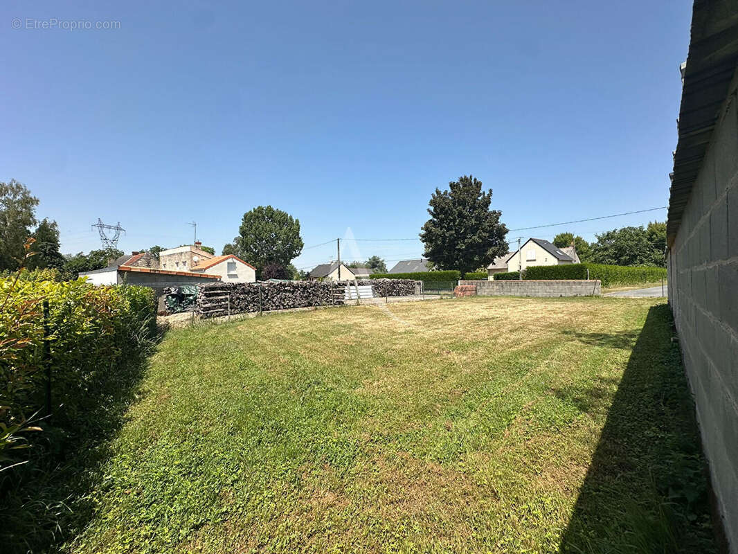 Terrain à DOUE-LA-FONTAINE