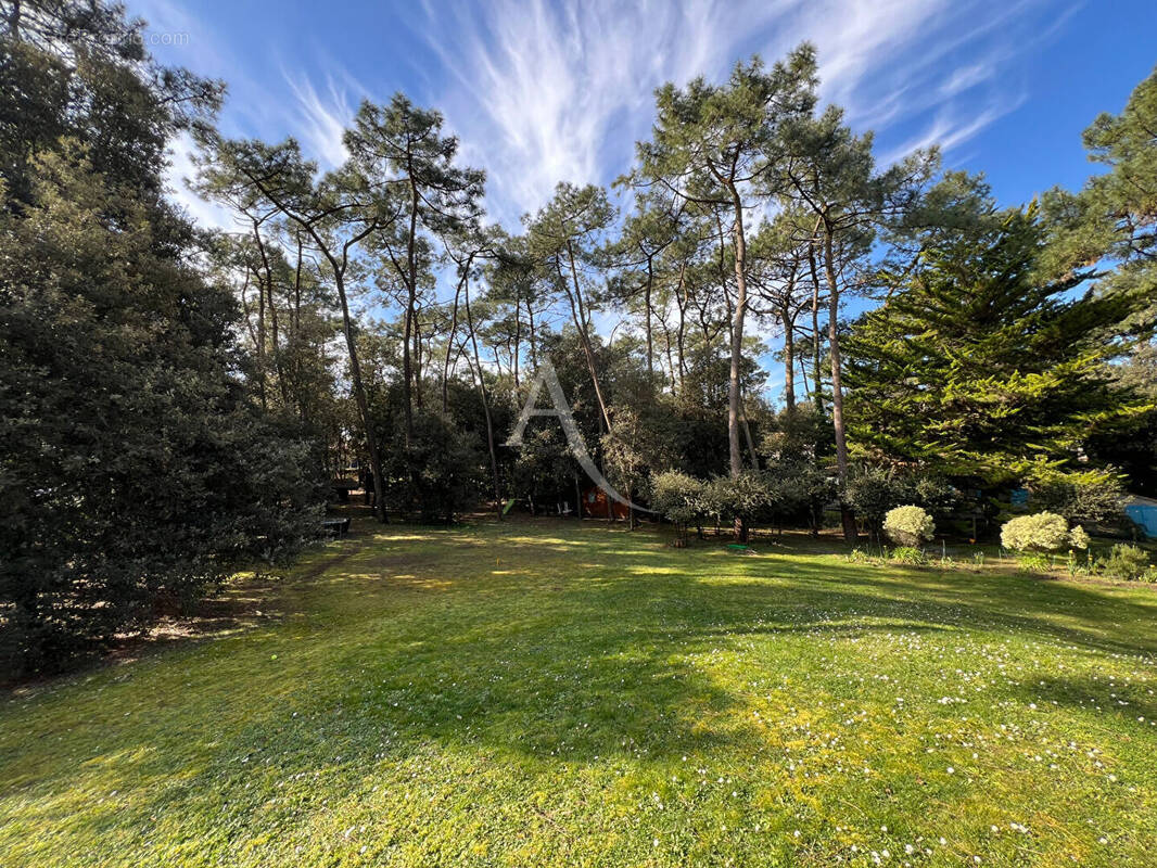 Terrain à SAINT-VINCENT-SUR-JARD