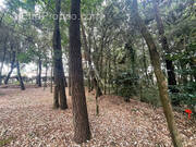 Terrain à SAINT-VINCENT-SUR-JARD