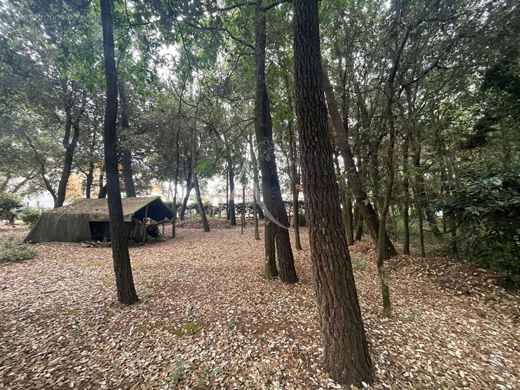 Terrain à SAINT-VINCENT-SUR-JARD