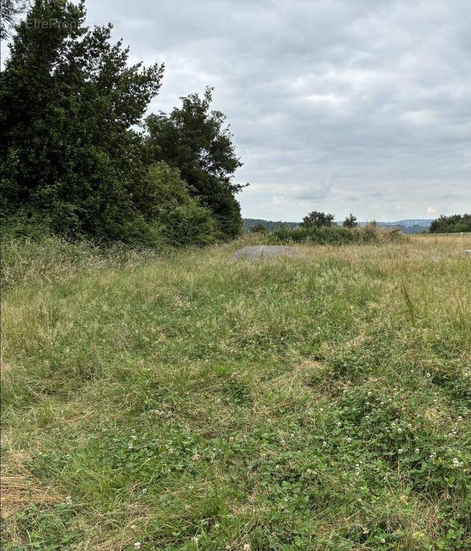 Terrain à POINTIS-INARD