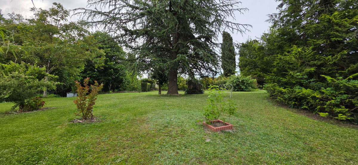 Maison à LA ROCHE-POSAY