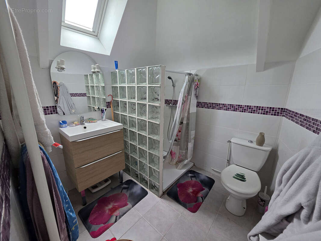 Maison à LA ROCHE-POSAY