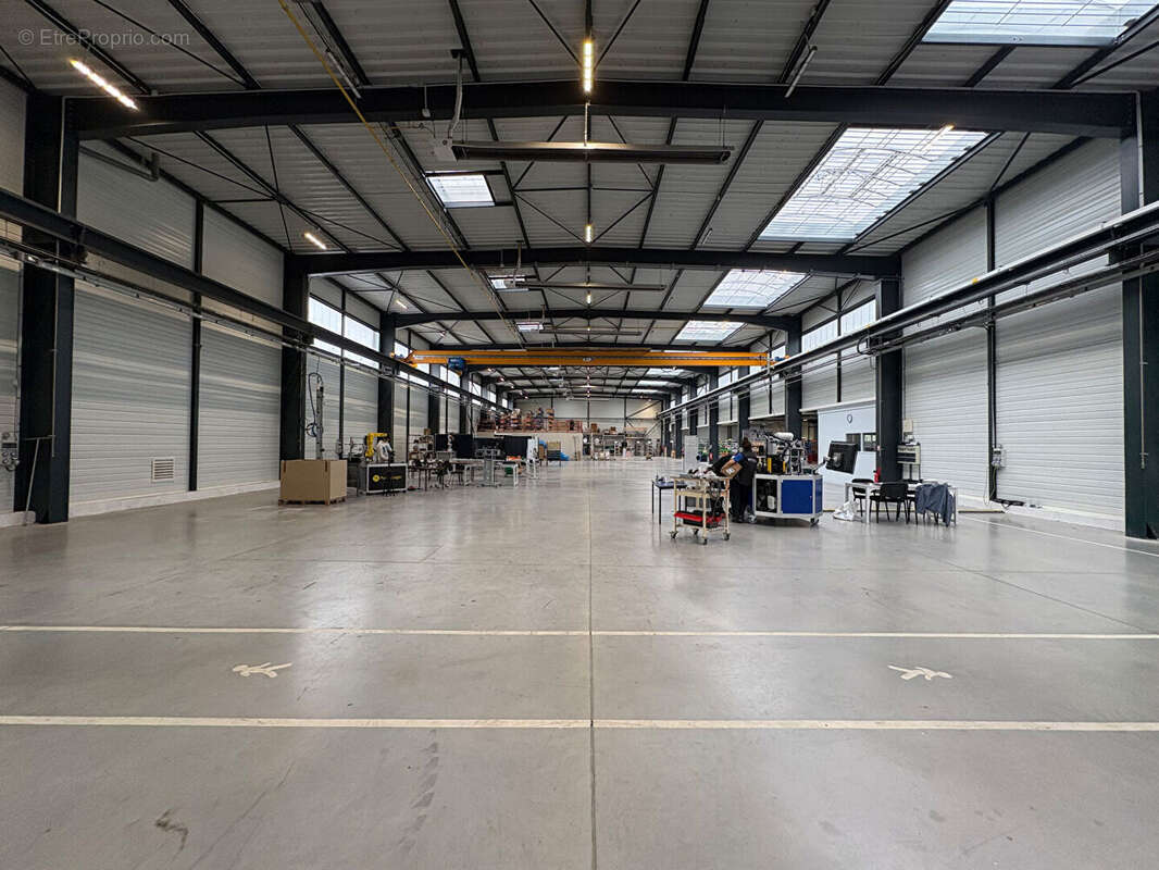 Commerce à SAINT-ETIENNE-DU-ROUVRAY