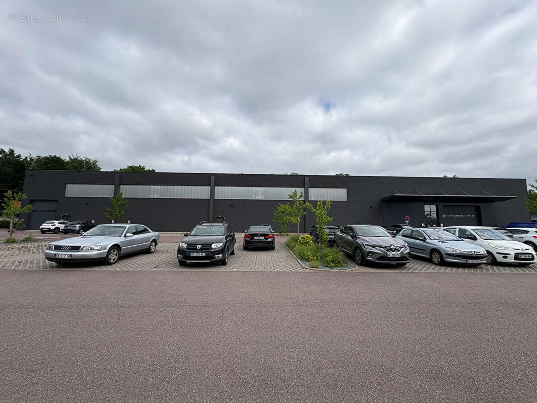 Commerce à SAINT-ETIENNE-DU-ROUVRAY