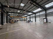 Commerce à SAINT-ETIENNE-DU-ROUVRAY