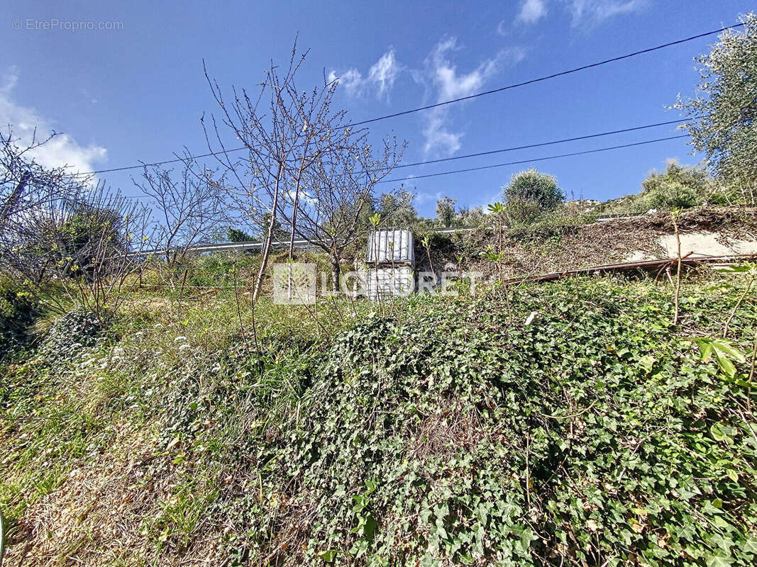 Terrain à GORBIO