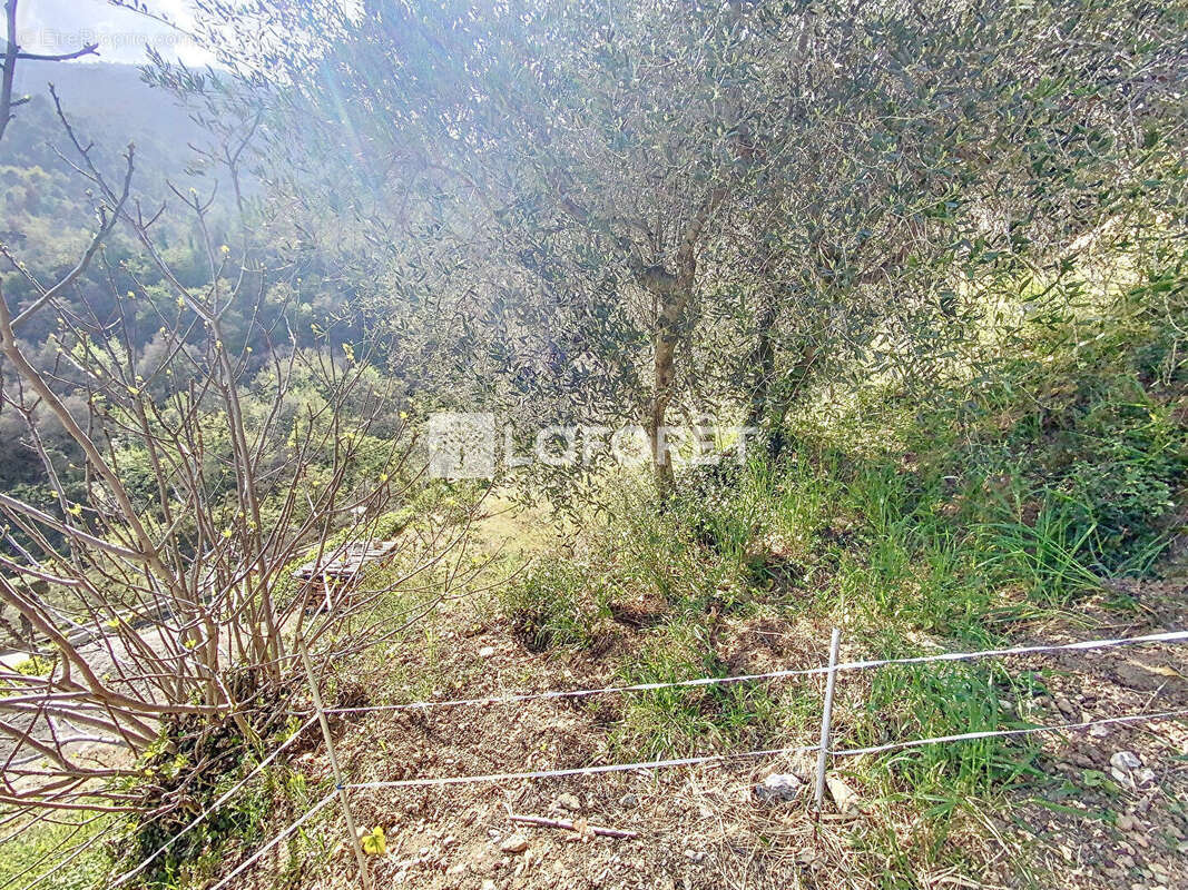 Terrain à GORBIO