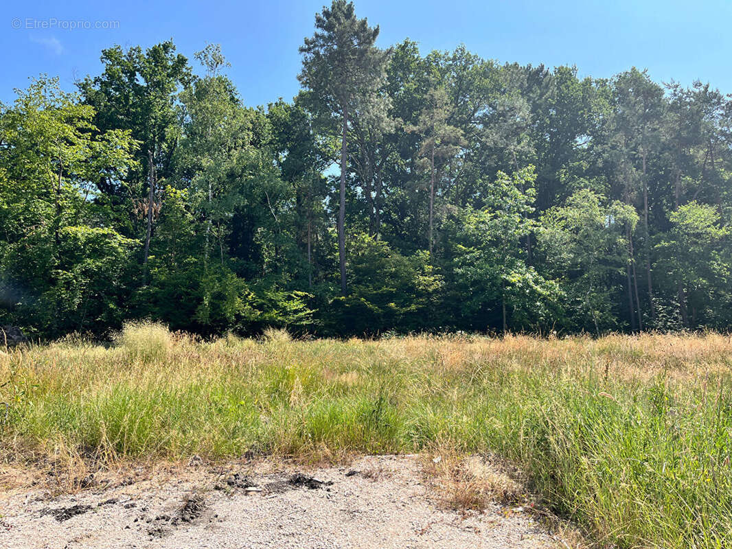 Appartement à LES BORDES