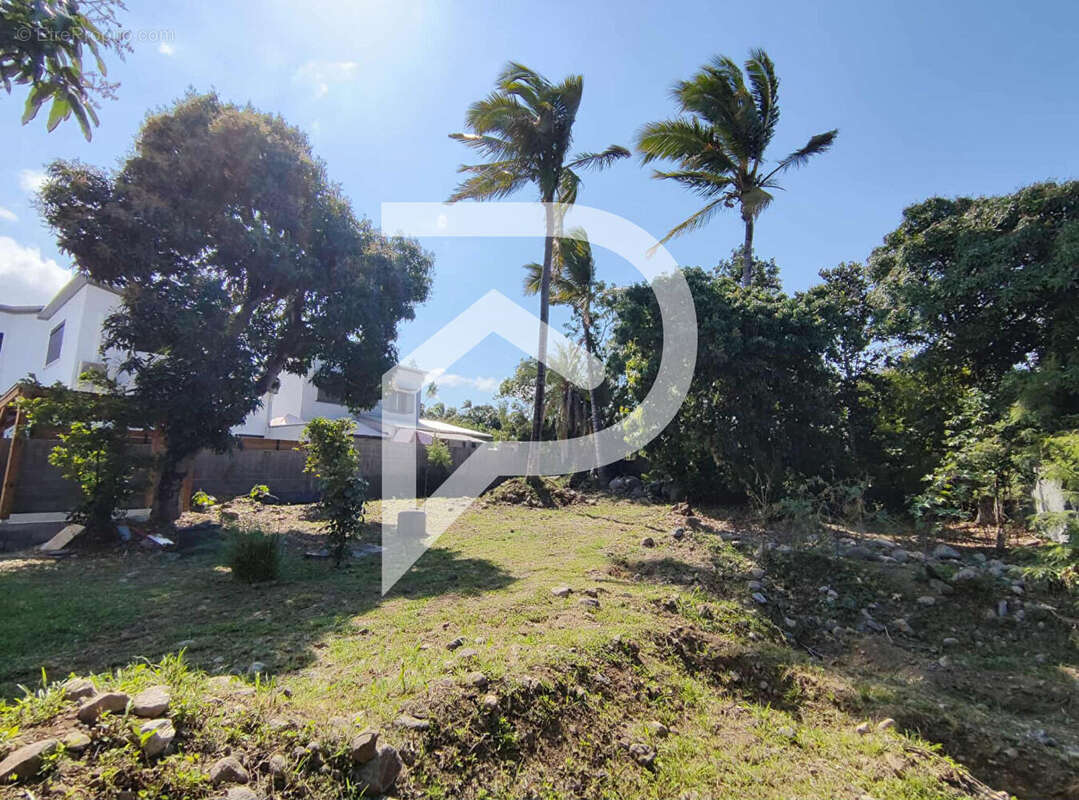 Terrain à SAINT-LOUIS