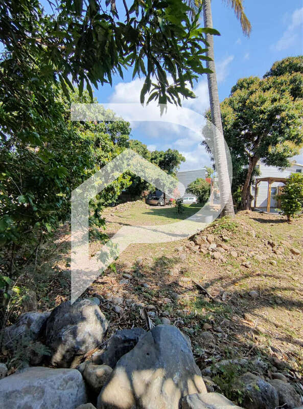 Terrain à SAINT-LOUIS