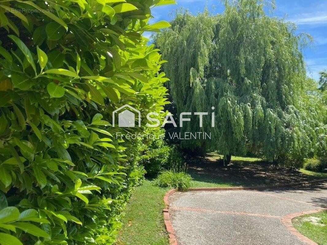 Photo 5 - Maison à ROUFFIAC-TOLOSAN