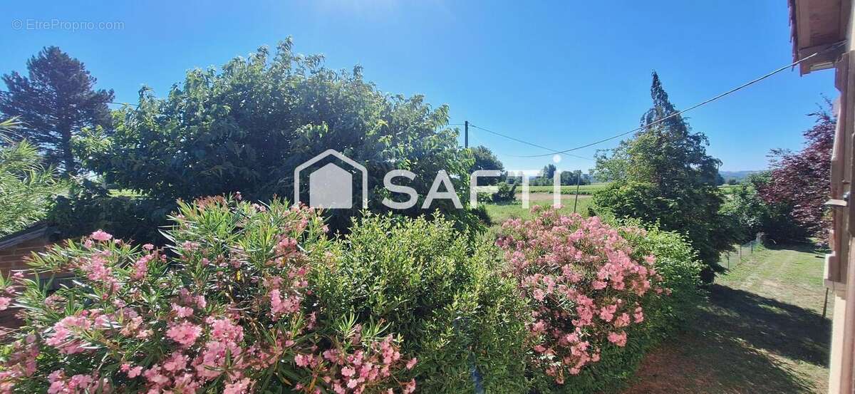 Photo 9 - Maison à LISLE-SUR-TARN