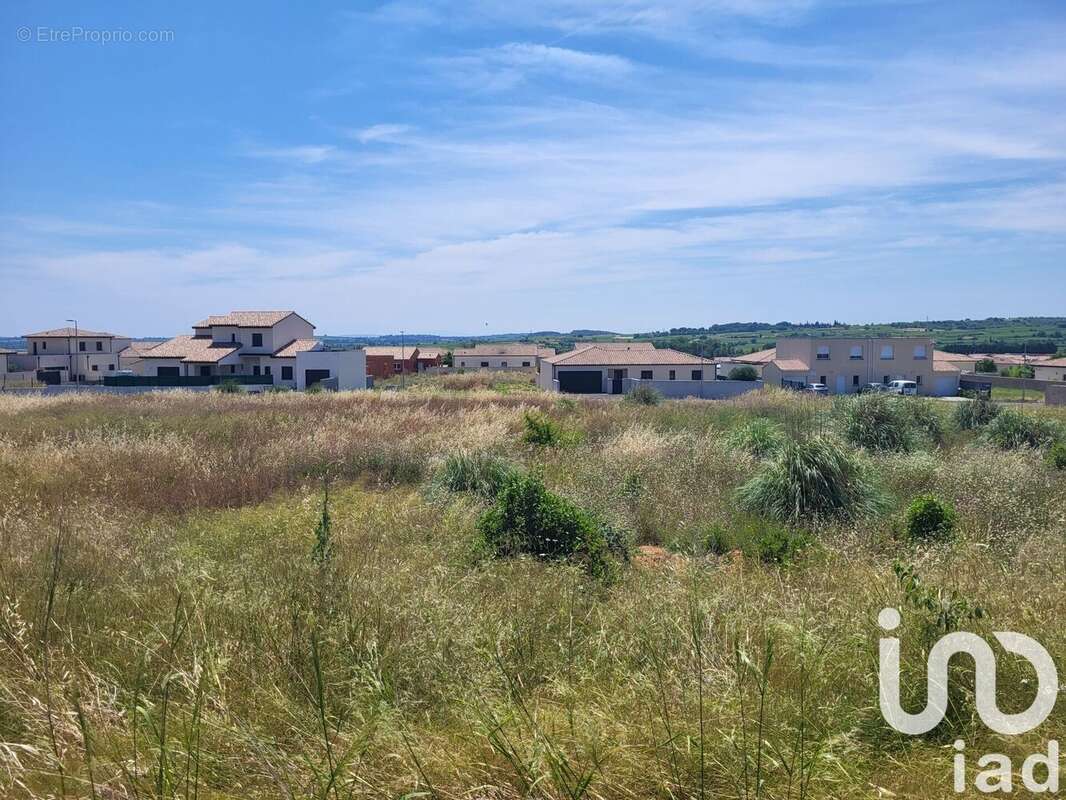 Photo 3 - Terrain à CAZOULS-LES-BEZIERS