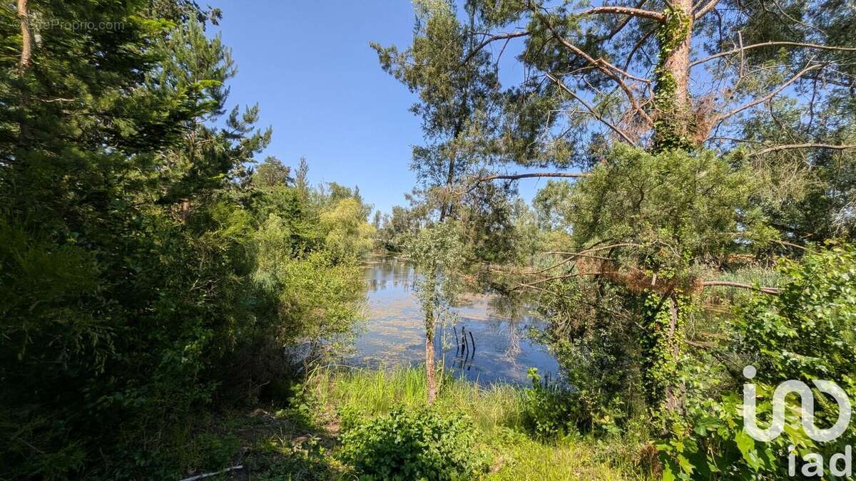 Photo 2 - Terrain à GURGY