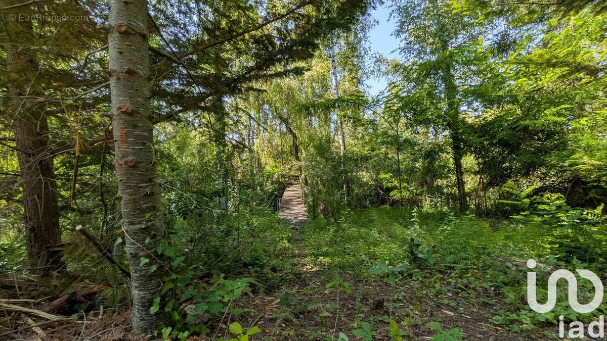 Photo 4 - Terrain à GURGY